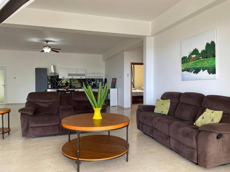 Spring Garden Mobay Resort Luxurious Apartments Montego Bay Ngoại thất bức ảnh