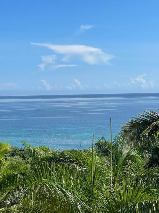 Spring Garden Mobay Resort Luxurious Apartments Montego Bay Ngoại thất bức ảnh
