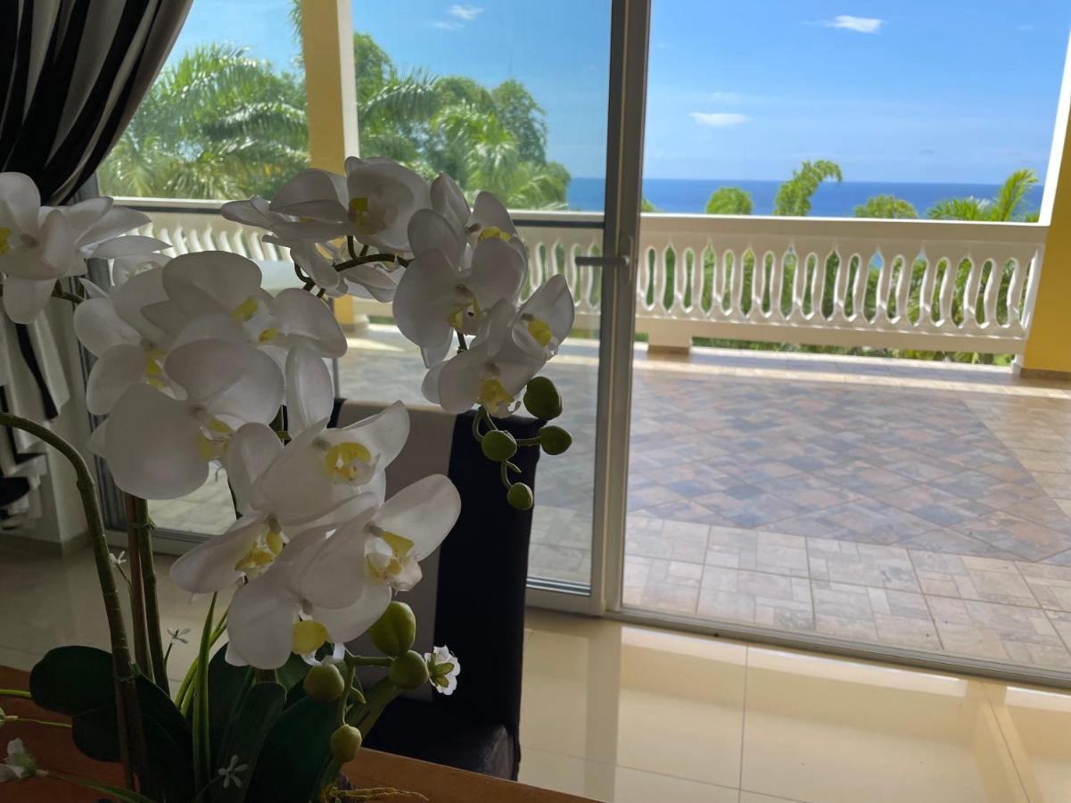 Spring Garden Mobay Resort Luxurious Apartments Montego Bay Ngoại thất bức ảnh
